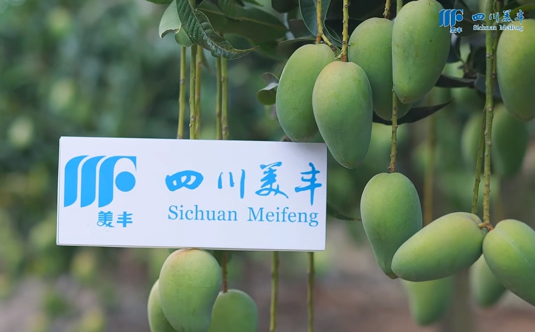 南方農(nóng)村報(bào)：?美豐系列新品熱銷海南，讓品質(zhì)提升更輕松