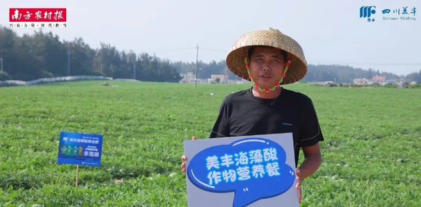南方農(nóng)村報(bào)：美豐發(fā)力，海南島瓜果翻倍甜蜜