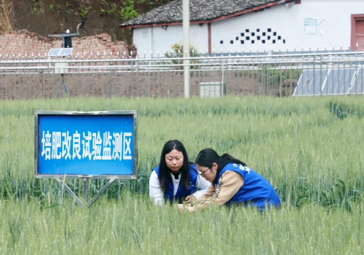 南方農(nóng)村報：四川美豐累計投入近1500萬元建成5所科技小院