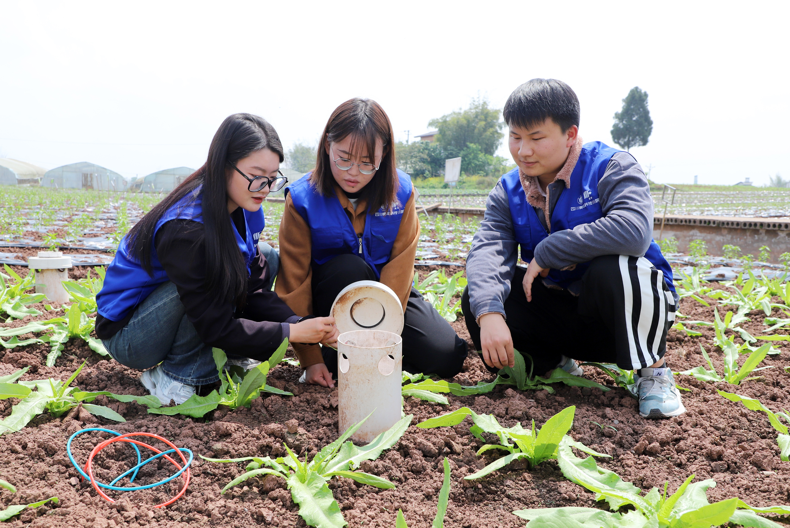 「自找苦吃」是一種怎樣的體驗(yàn)？