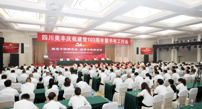 公司召開慶祝建黨103周年暨半年工作會(huì)